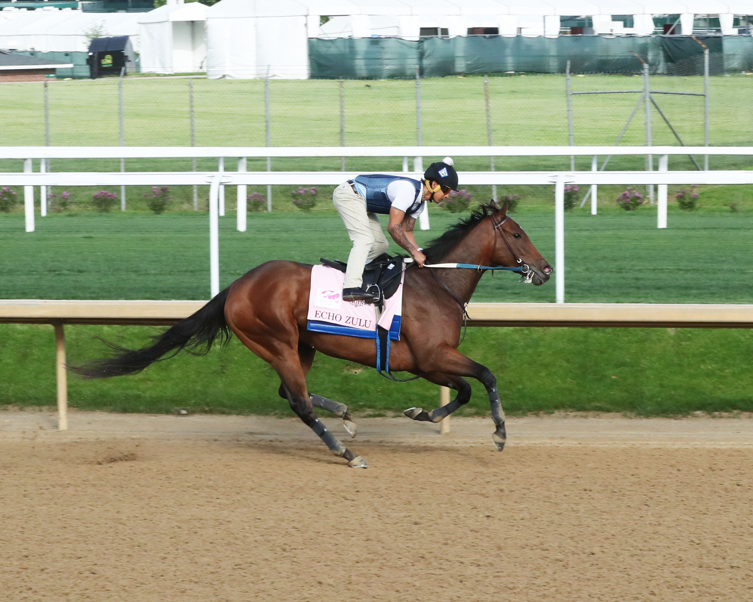 Echo Zulu heads Saturday night s stakes quartet Kentucky