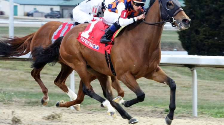 G1 winner In Love returns to Turfway for Dust Commander - Kentucky  Horsemen's Benevolent and Protective Association