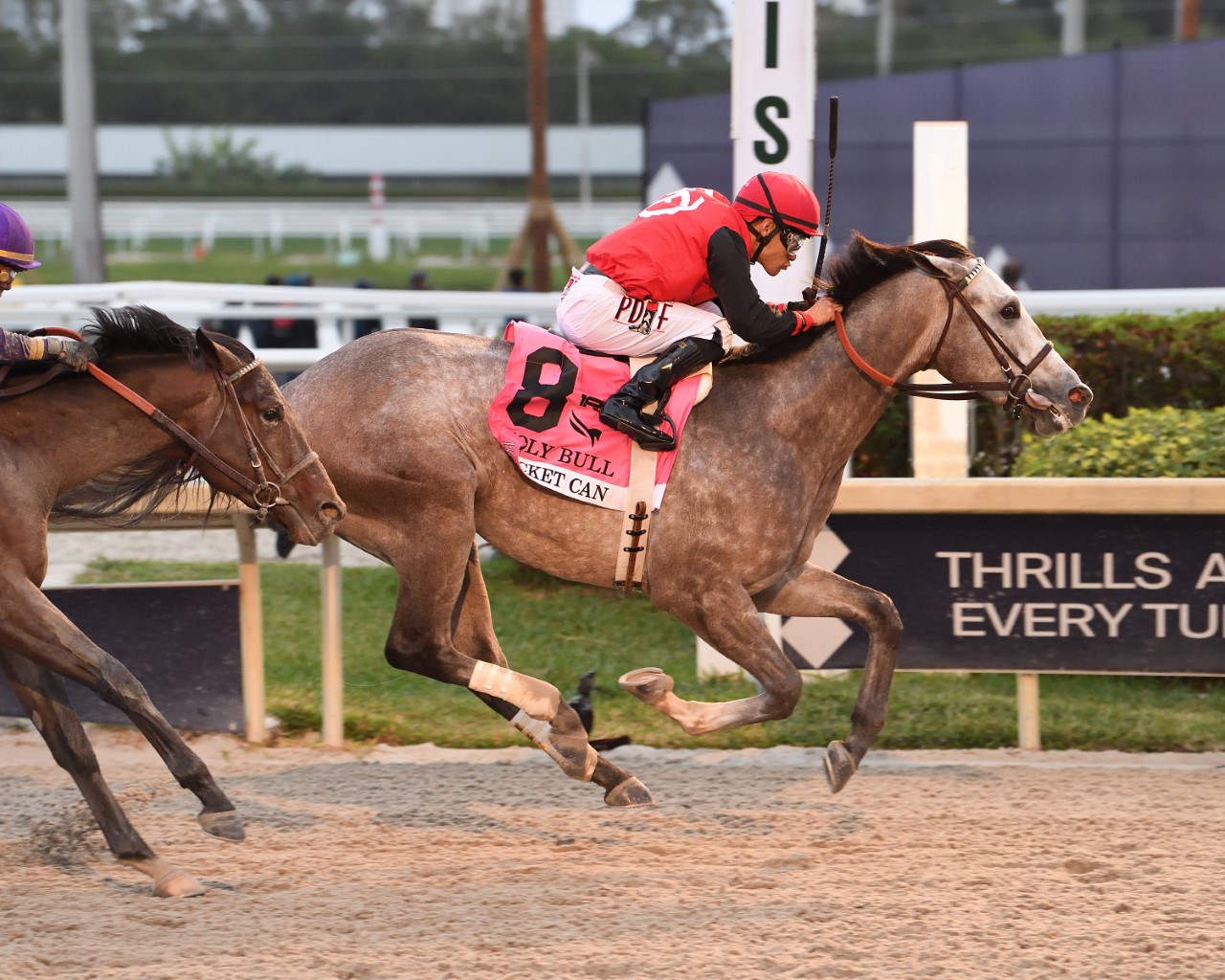 Road to KY Derby Motttrained Rocket Can takes G3 Holy Bull Kentucky